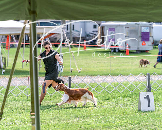 20240815-DSC07841