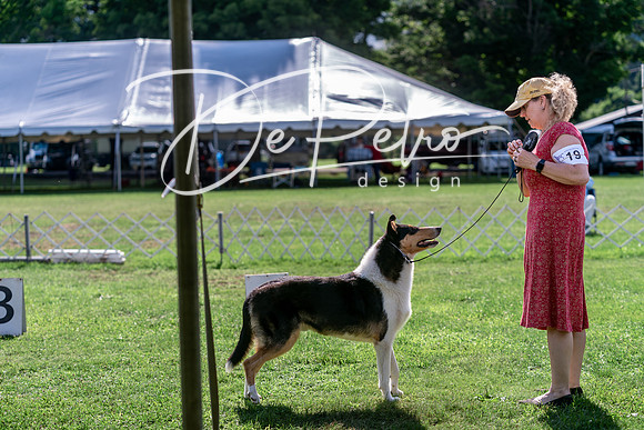 20240630-DSC05002