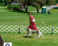 20250629-DSC09479