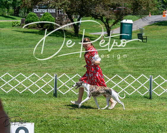 20250629-DSC09479