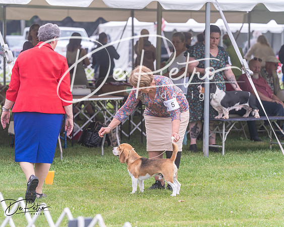 20250626-DSC04567