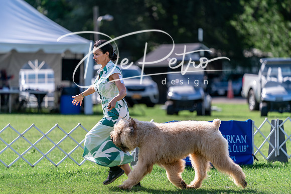 20240630-DSC04841