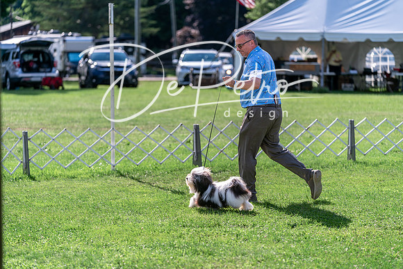 20240630-DSC05140