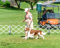20250629-DSC00049