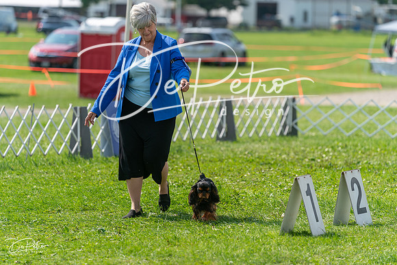 20240816-DSC00339
