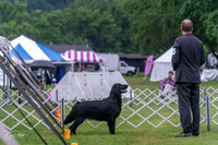 20250626-DSC02392