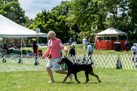 20190609-DSC09370
