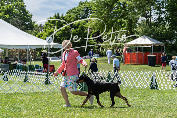 20190609-DSC09370