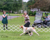 20250628-DSC07330