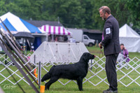 20250626-DSC02403