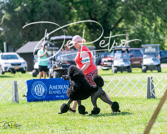 20240630-DSC02408