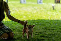 20240816-DSC00164