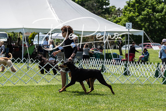 20190609-DSC09398