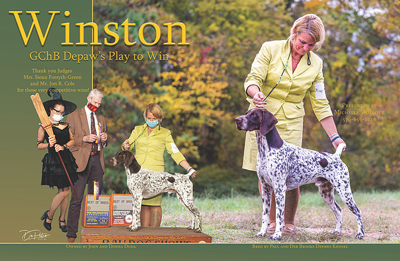 Winston chron nov
