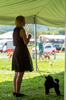 20240816-DSC00194