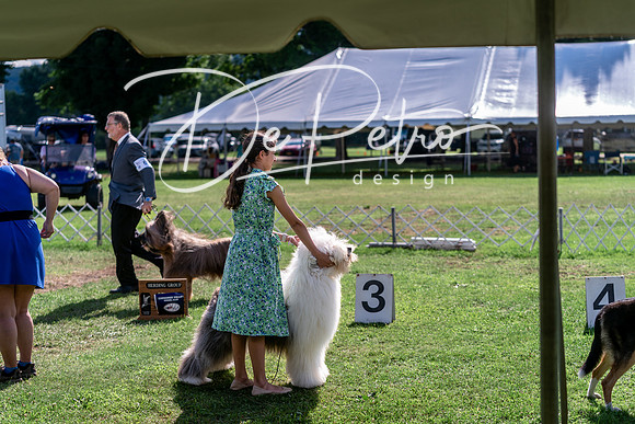 20240630-DSC05004