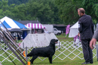 20250626-DSC02388