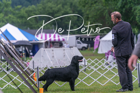 20250626-DSC02388