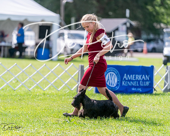 20240630-DSC03657