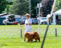 20240630-DSC02476
