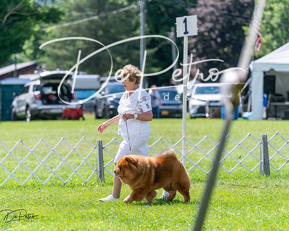 20240630-DSC02476