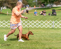 20250628-DSC08404