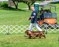 20250629-DSC00076