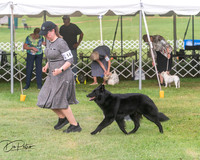 20250628-DSC08882