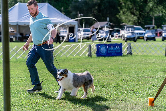 20240630-DSC04878