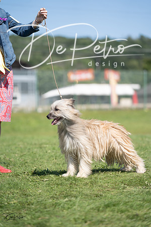 20230819-DSC00197
