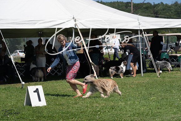 20230819-DSC09518