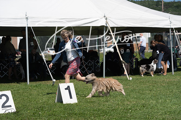 20230819-DSC09520