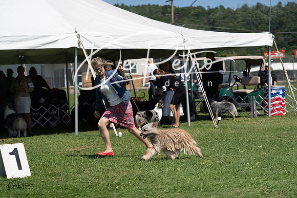 20230819-DSC09516