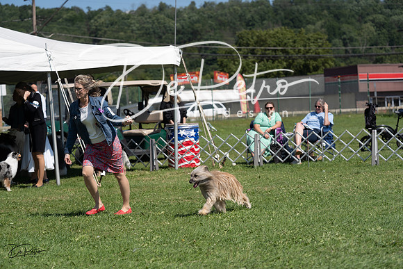 20230819-DSC09509