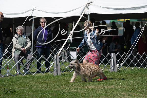 20230819-DSC09548