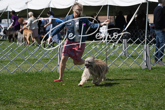 20230819-DSC09562