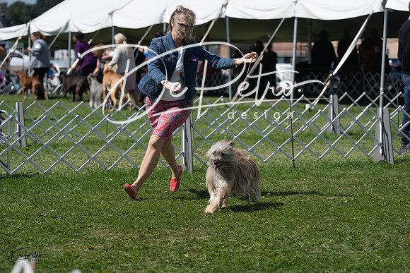 20230819-DSC09564