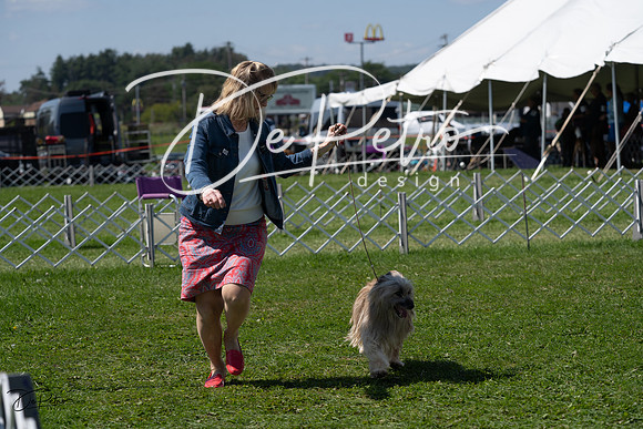 20230819-DSC09615