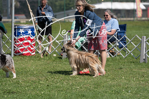 20230819-DSC09626
