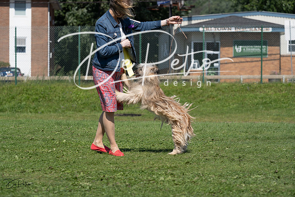 20230819-DSC09661