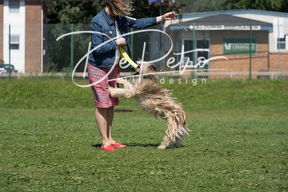 20230819-DSC09660