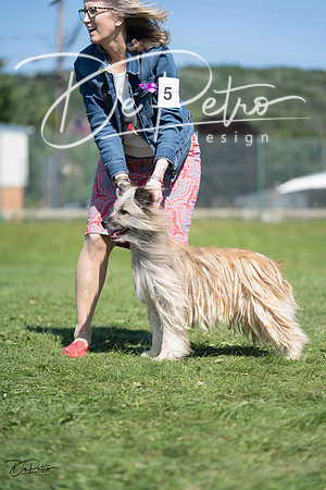 20230819-DSC09828