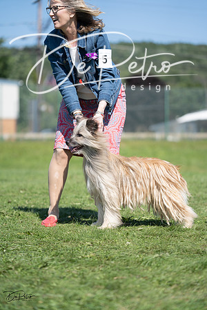 20230819-DSC09827