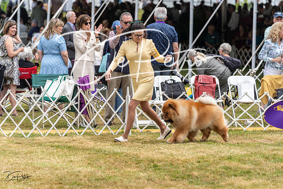 20220621-DSC05584