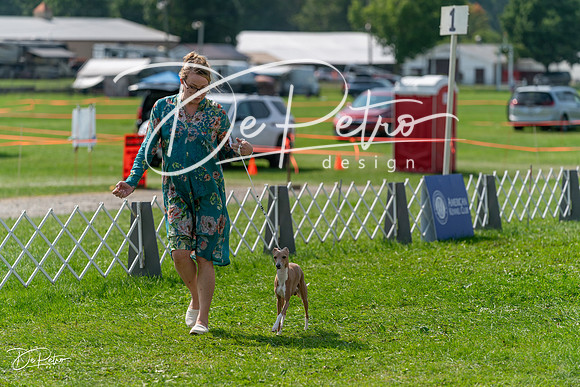 20240816-DSC00321
