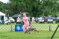 20240630-DSC02218