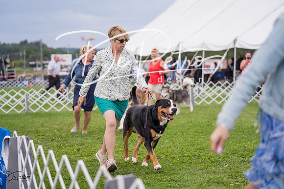20230818-DSC05952