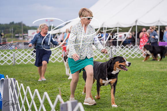20230818-DSC05955