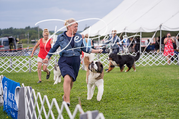 20230818-DSC05957
