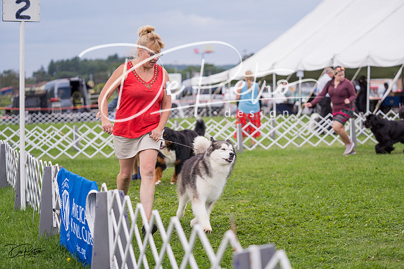 20230818-DSC05962